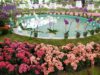 La virtualidad llega a la Fiesta Nacional de la Flor en Escobar