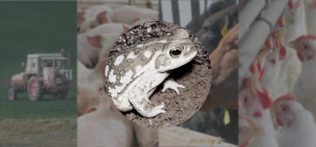 agroquimicos principal