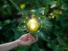 Sustentabilidad, palabra clave en el manual de los negocios