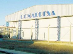 Conarpesa suspende nuevas inversiones en Santa Cruz por un conflicto en el Consejo Federal Pesquero